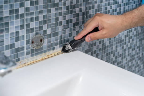 Best Local Mold Removal Service  in Bay Hill, FL